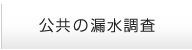 公共の漏水調査