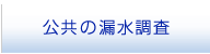 公共の漏水調査