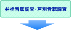 弁栓音聴調査・戸別音聴調査