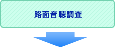 路面音聴調査